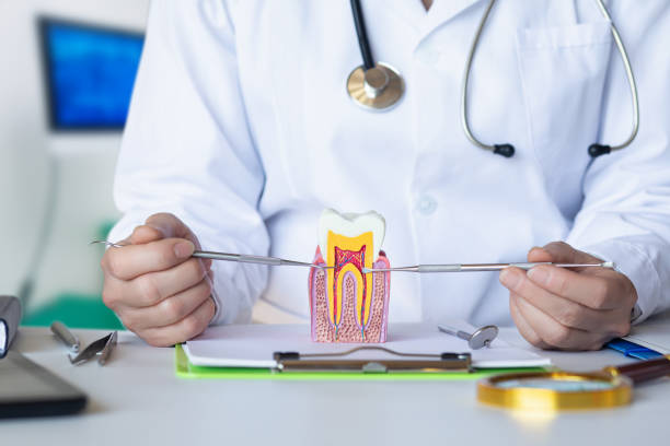 Emergency Dentist for Kids in VA